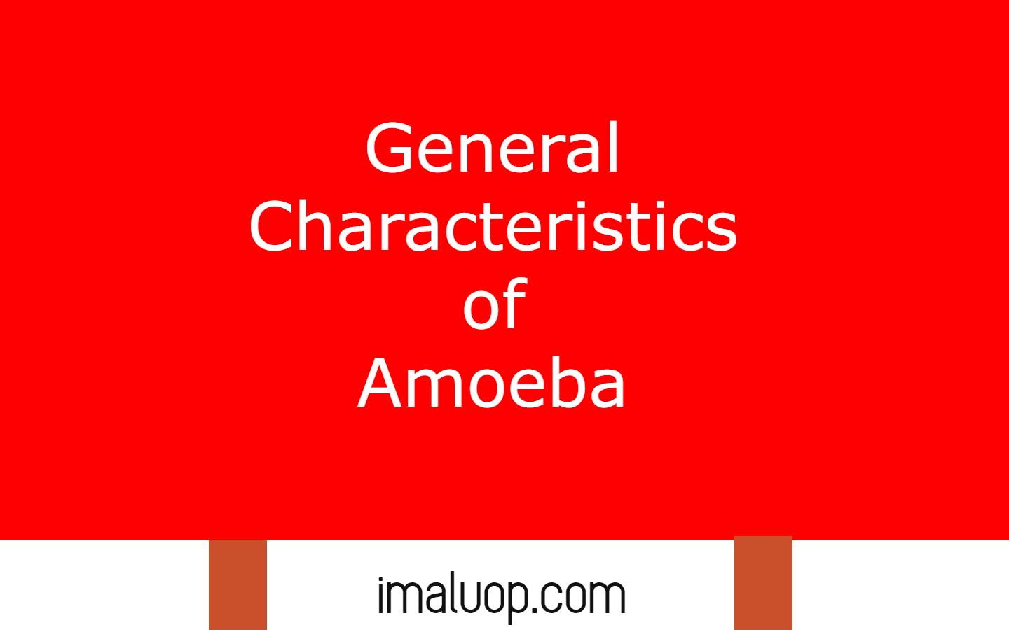 Characteristics of Amoeba