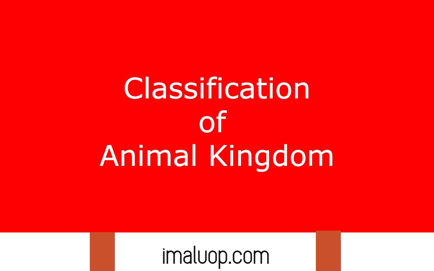 Classification of Animal Kingdom