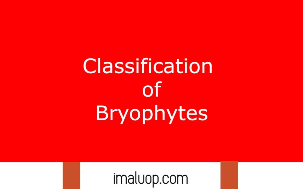 classification-of-bryophytes-notes-on-bryophytes-riset