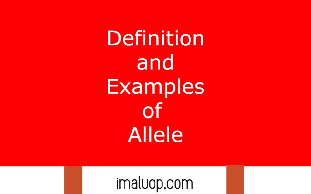 Definition and Examples of Allele