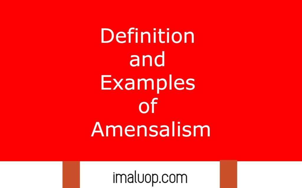 Definition and Examples of Amensalism