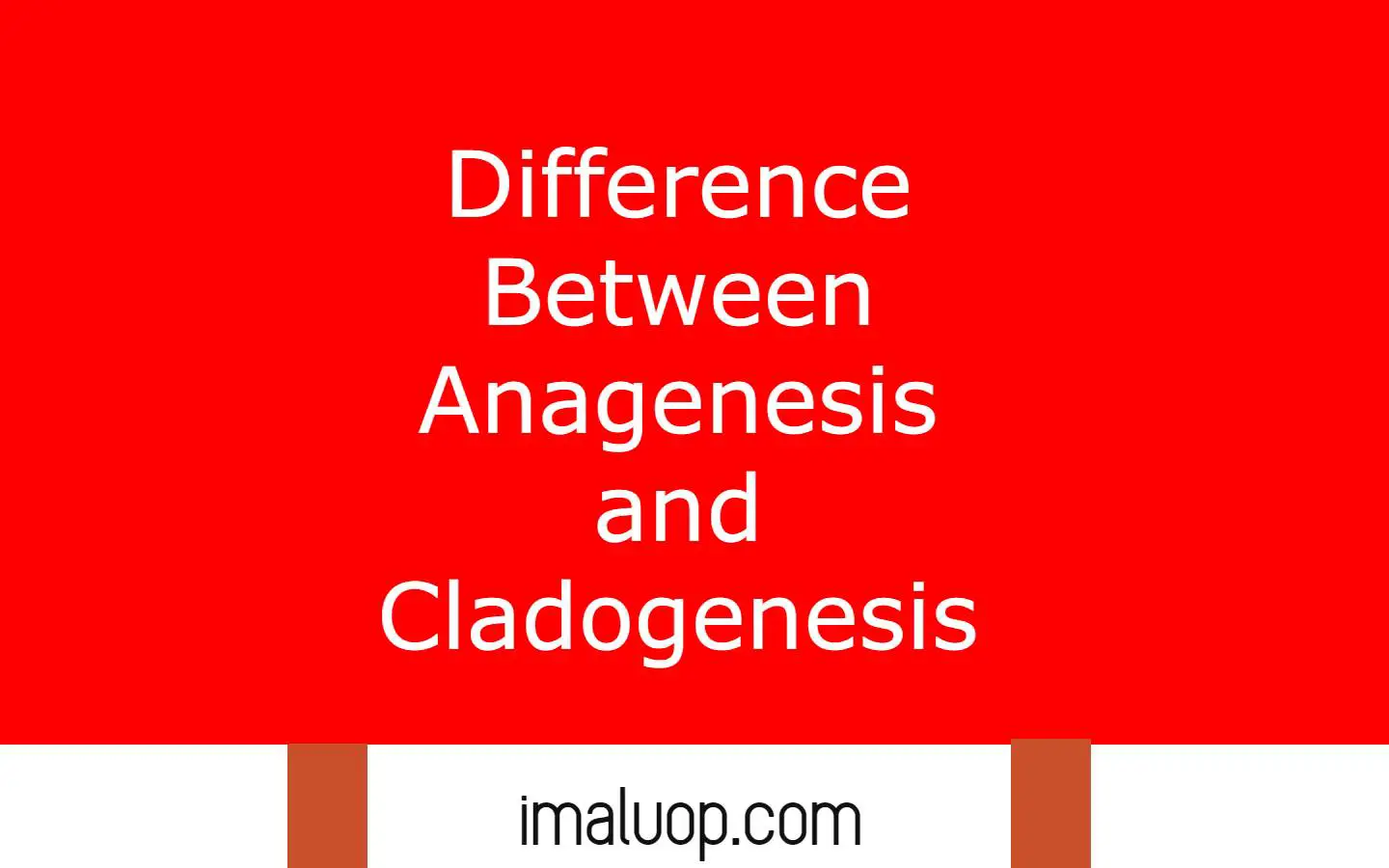 Difference Between Anagenesis and Cladogenesis