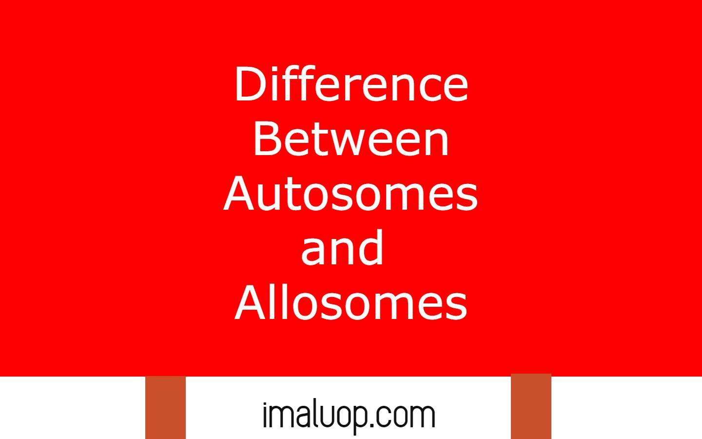 Differences Between Autosomes and Allosomes