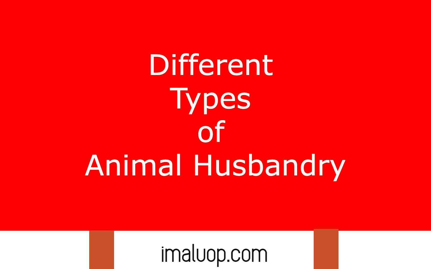 Different Types of Animal Husbandry - Imaluop - IMALUOP