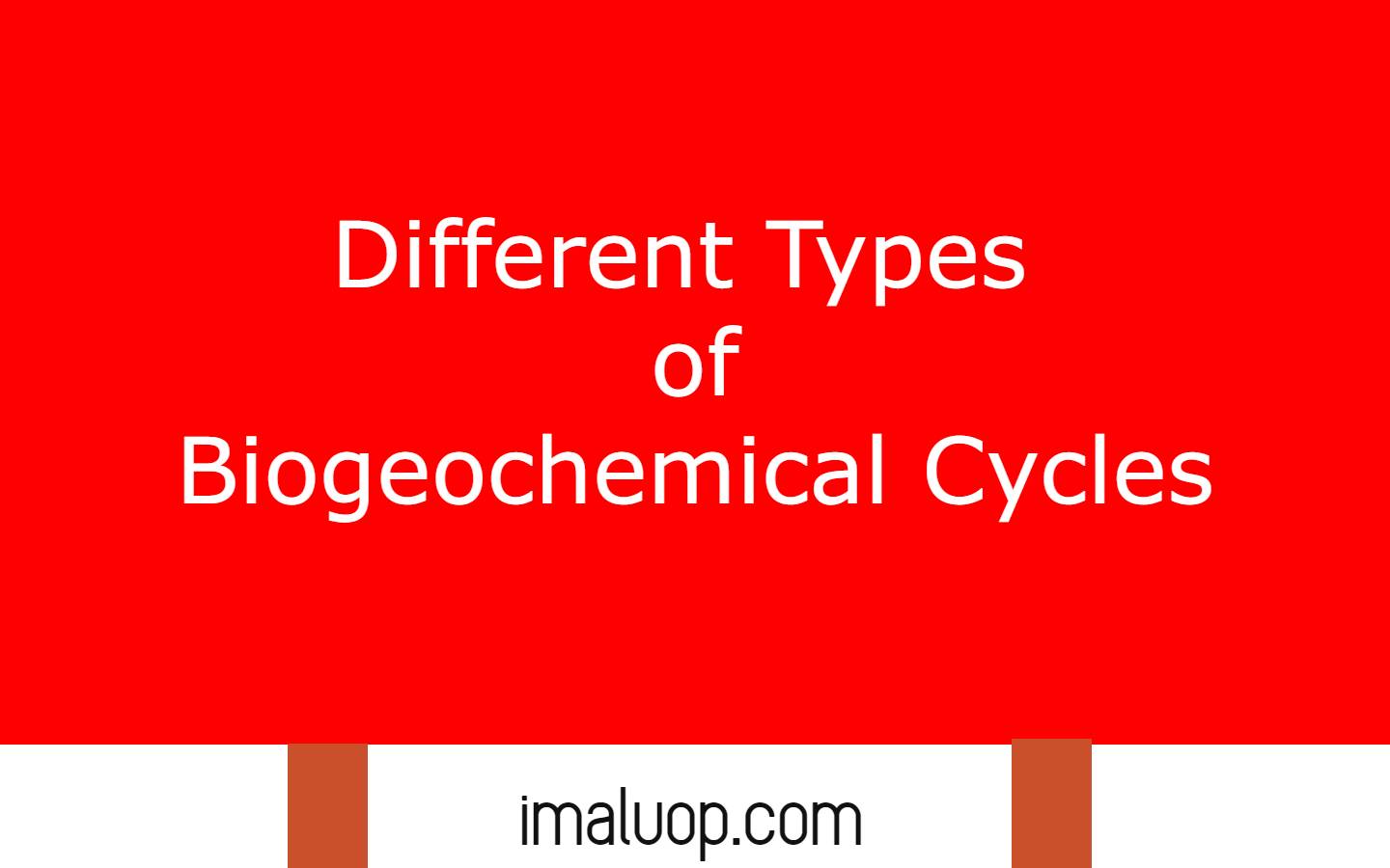 Different Types of Biogeochemical Cycles