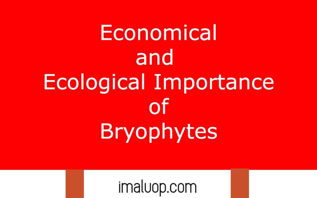 Economical and Ecological Importance of Bryophytes