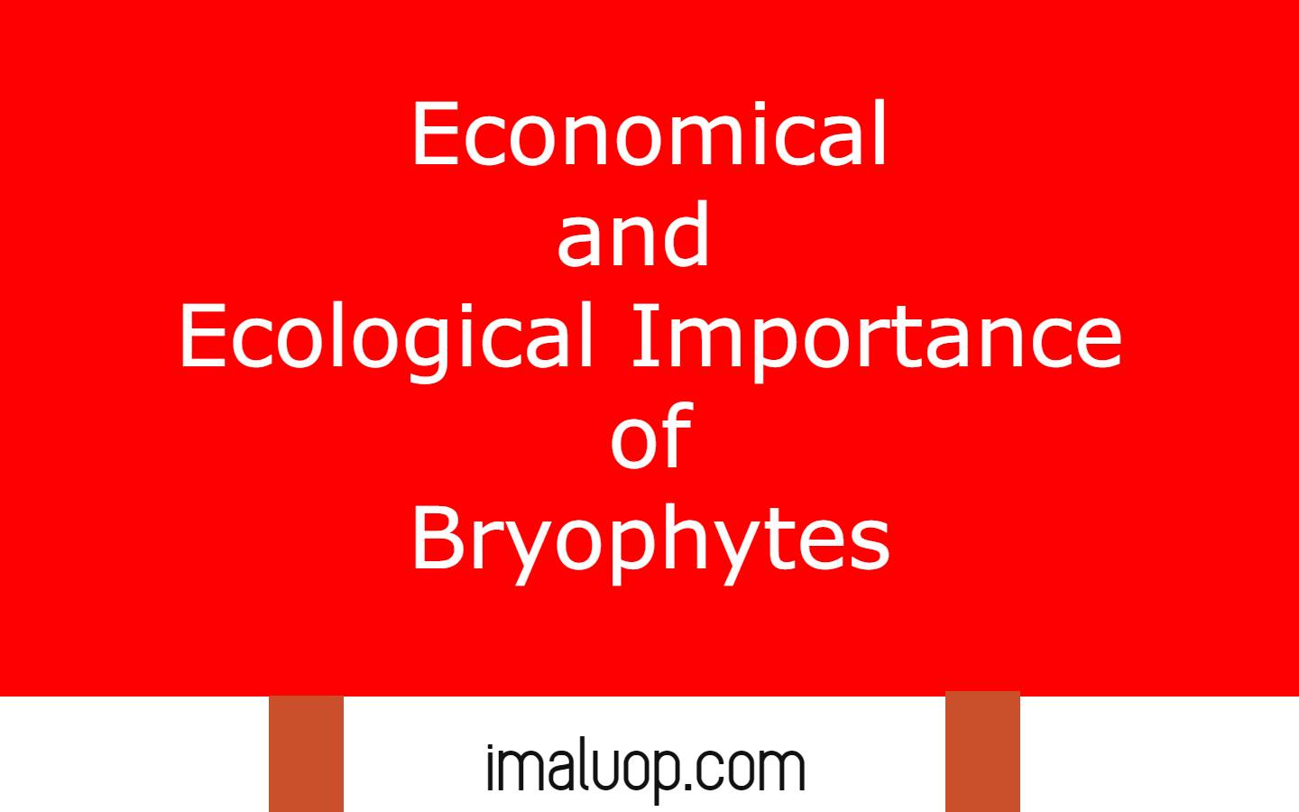 Economical and Ecological Importance of Bryophytes