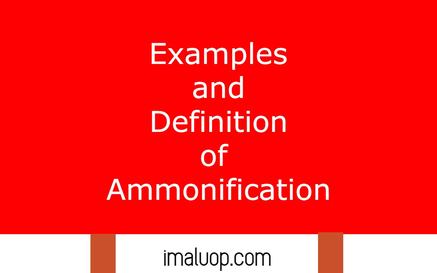 examples-and-definition-of-ammonification-imaluop-imaluop