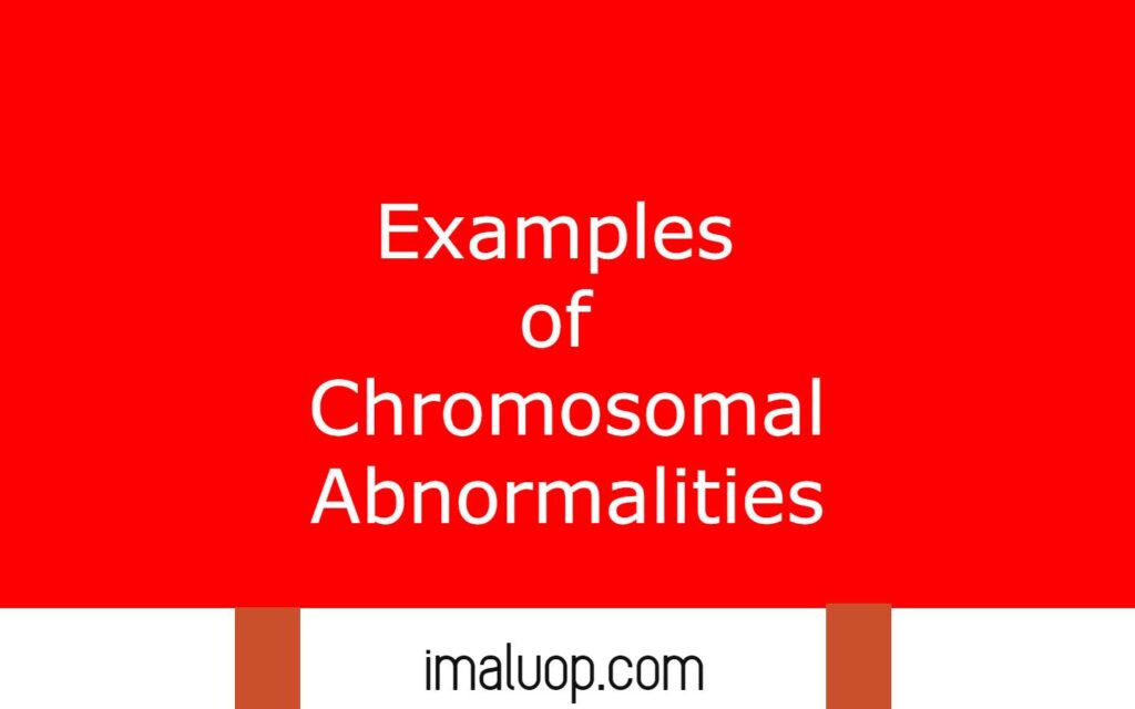 Examples of Chromosomal Abnormalities