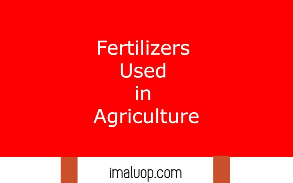 Fertilizers Used in Agriculture