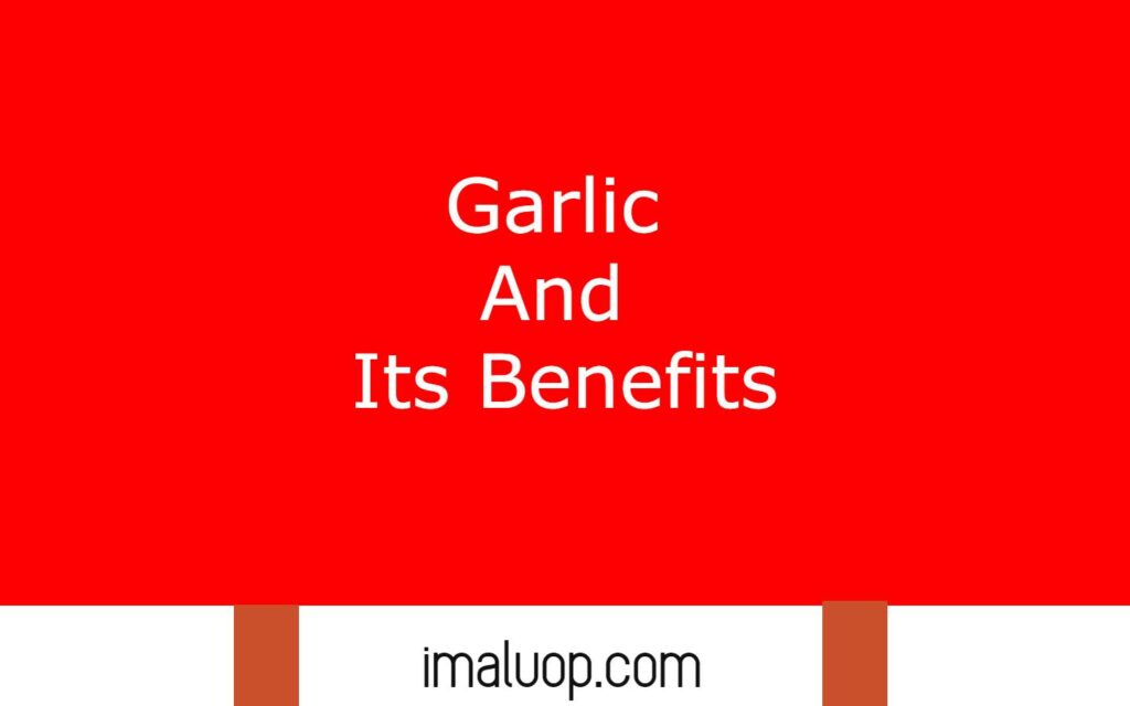 Garlic And Its Benefits 