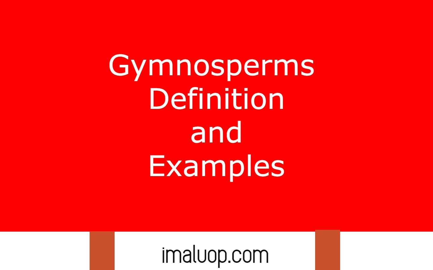 Gymnosperms Definition and Examples