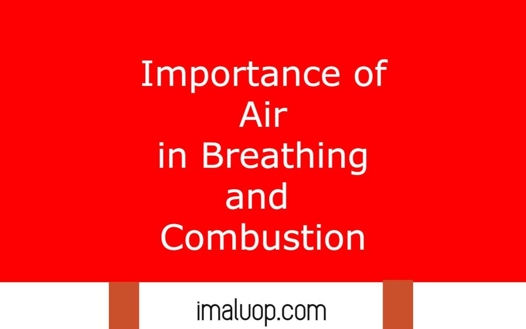 Importance of Air in Breathing and Combustion