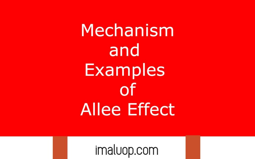 Mechanism and Examples of Allee Effect