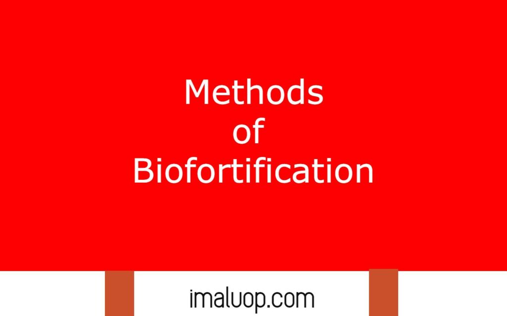 Methods of Biofortification