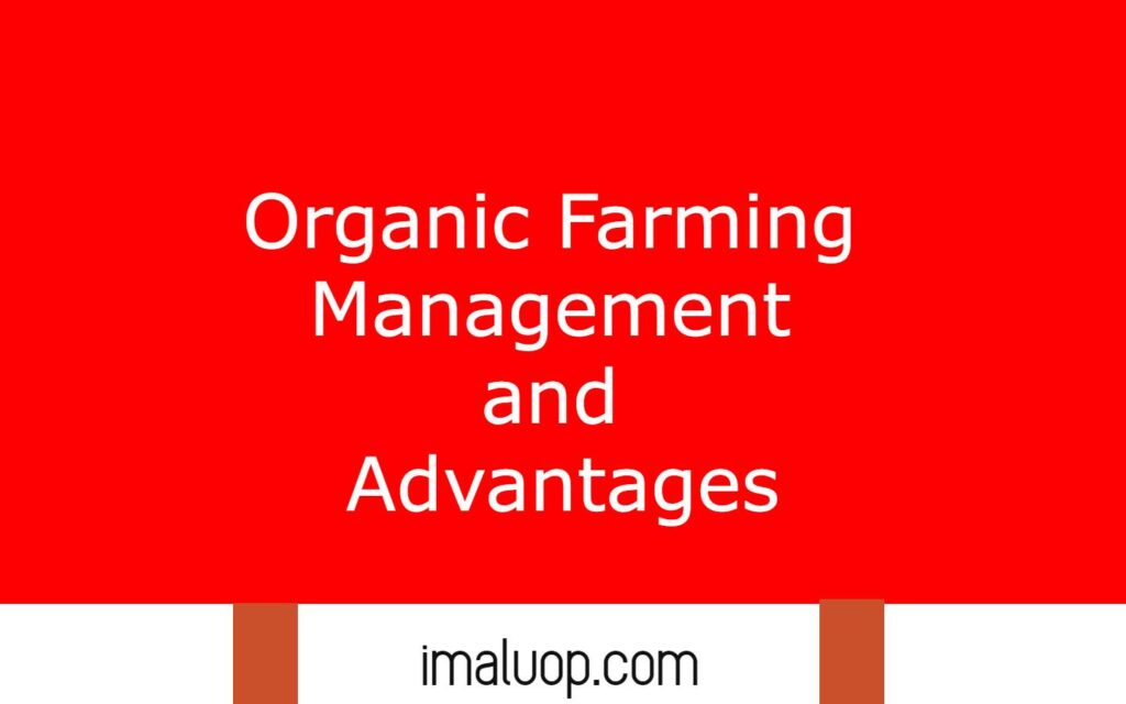 Organic Farming Management and Advantages