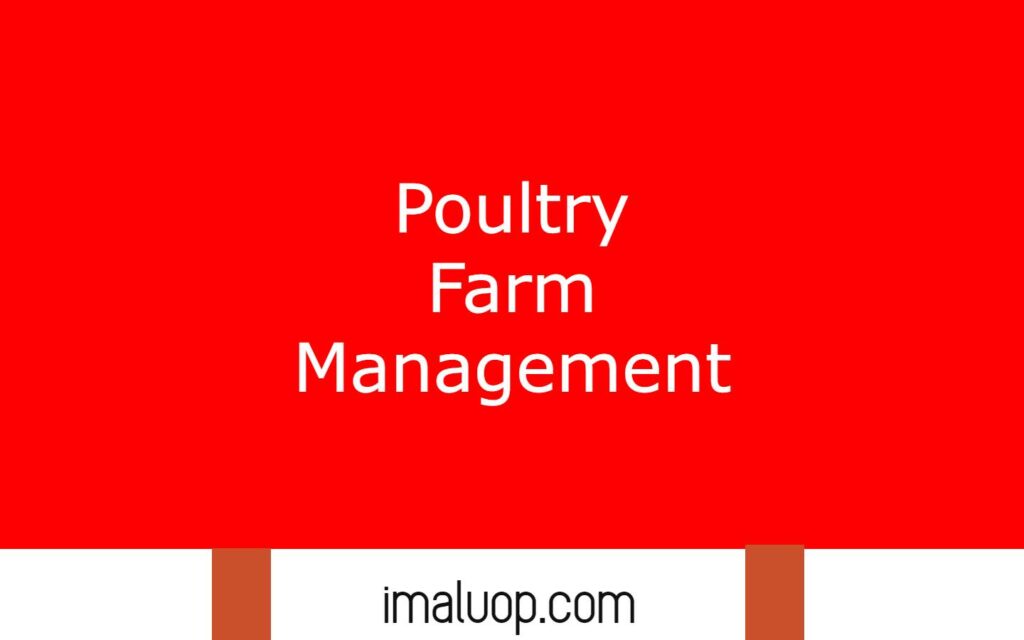 Poultry Farm Management