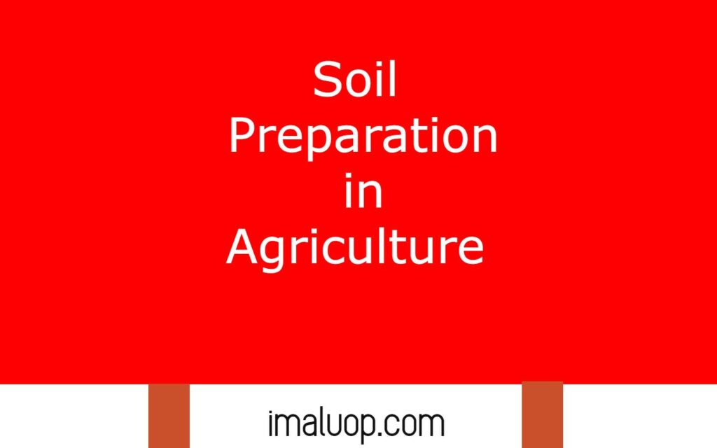 Soil Preparation in Agriculture