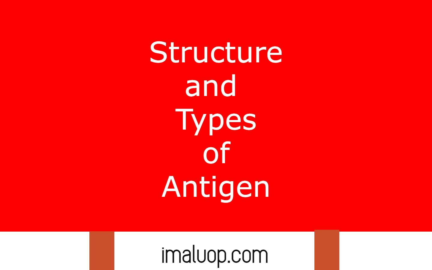 Structure and Types of Antigen