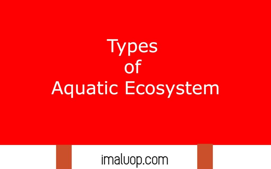 Types of Aquatic Ecosystem