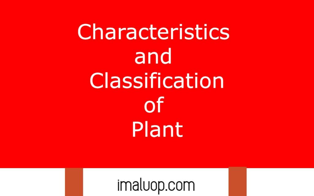 Characteristics and Classification of Plant