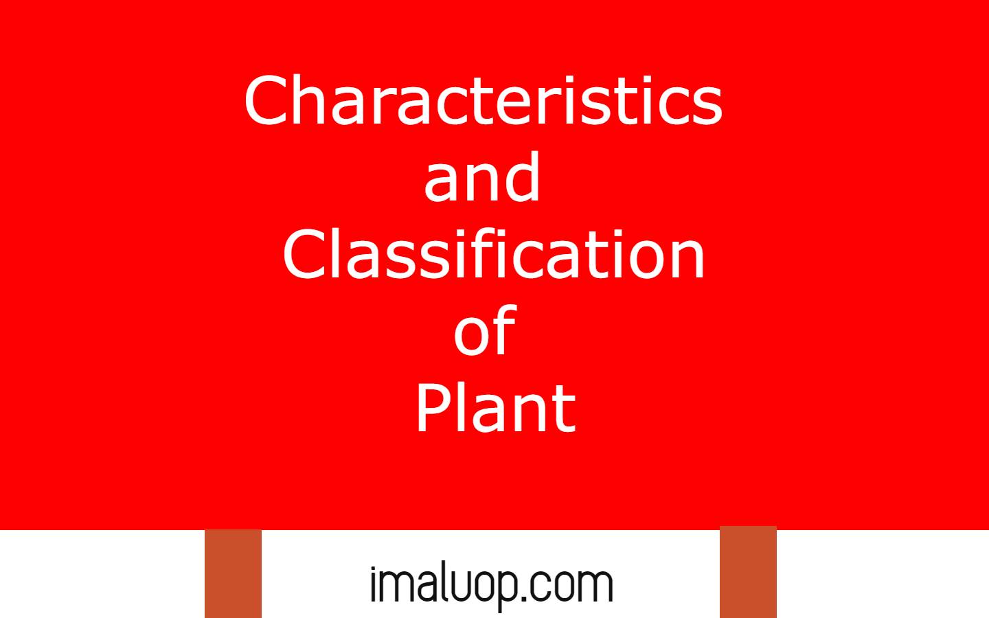 Characteristics and Classification of Plant