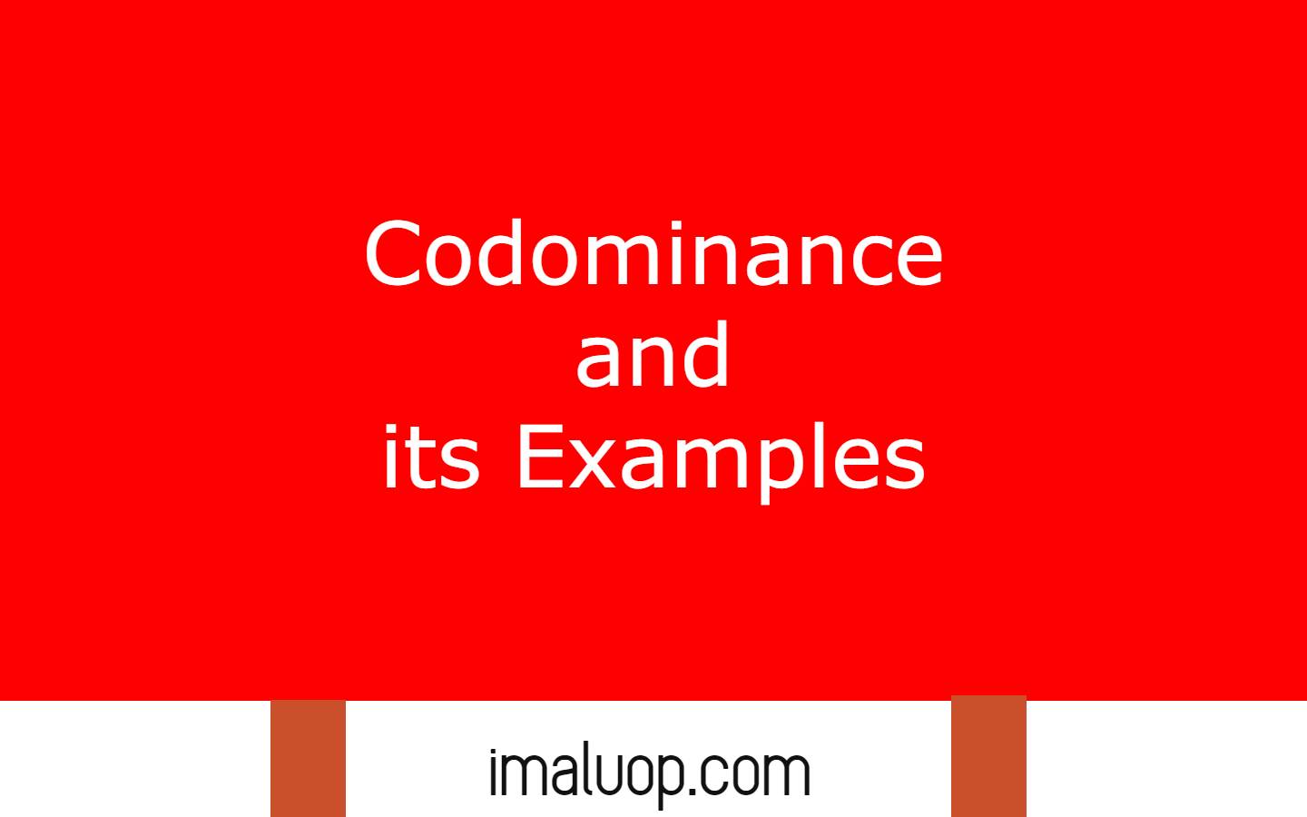 Codominance and its Examples