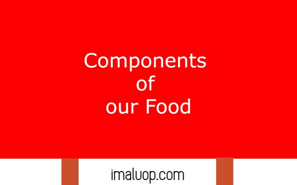Components of our Food