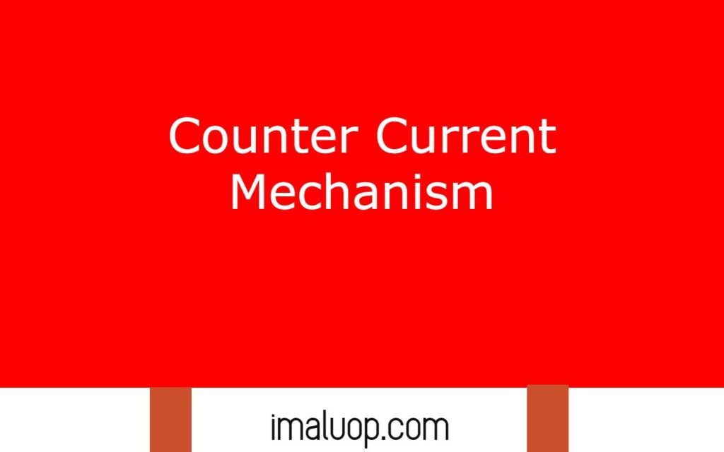 Counter Current Mechanism