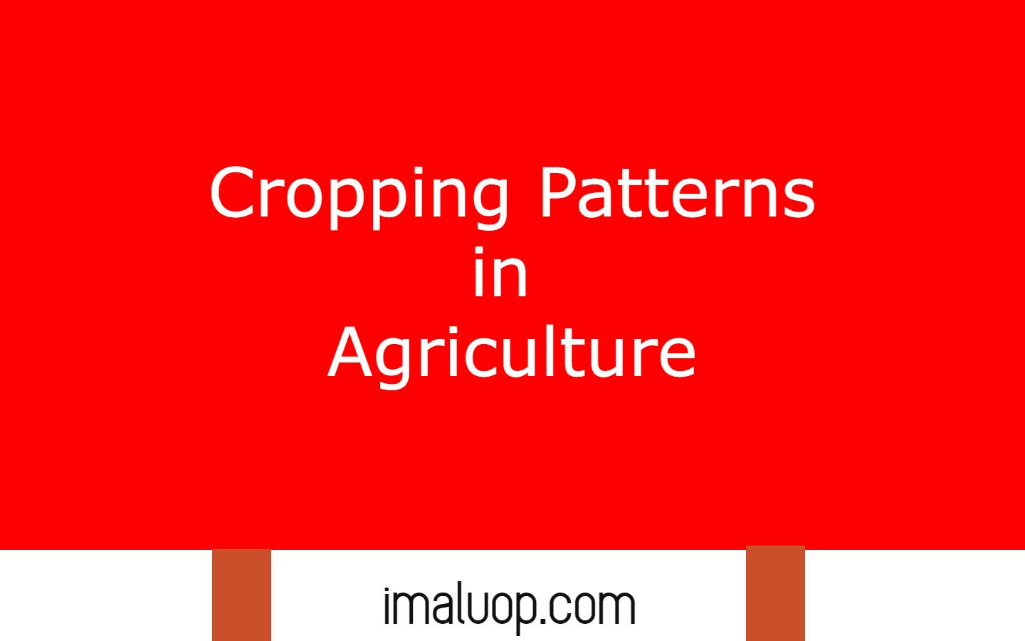 Cropping Patterns in Agriculture