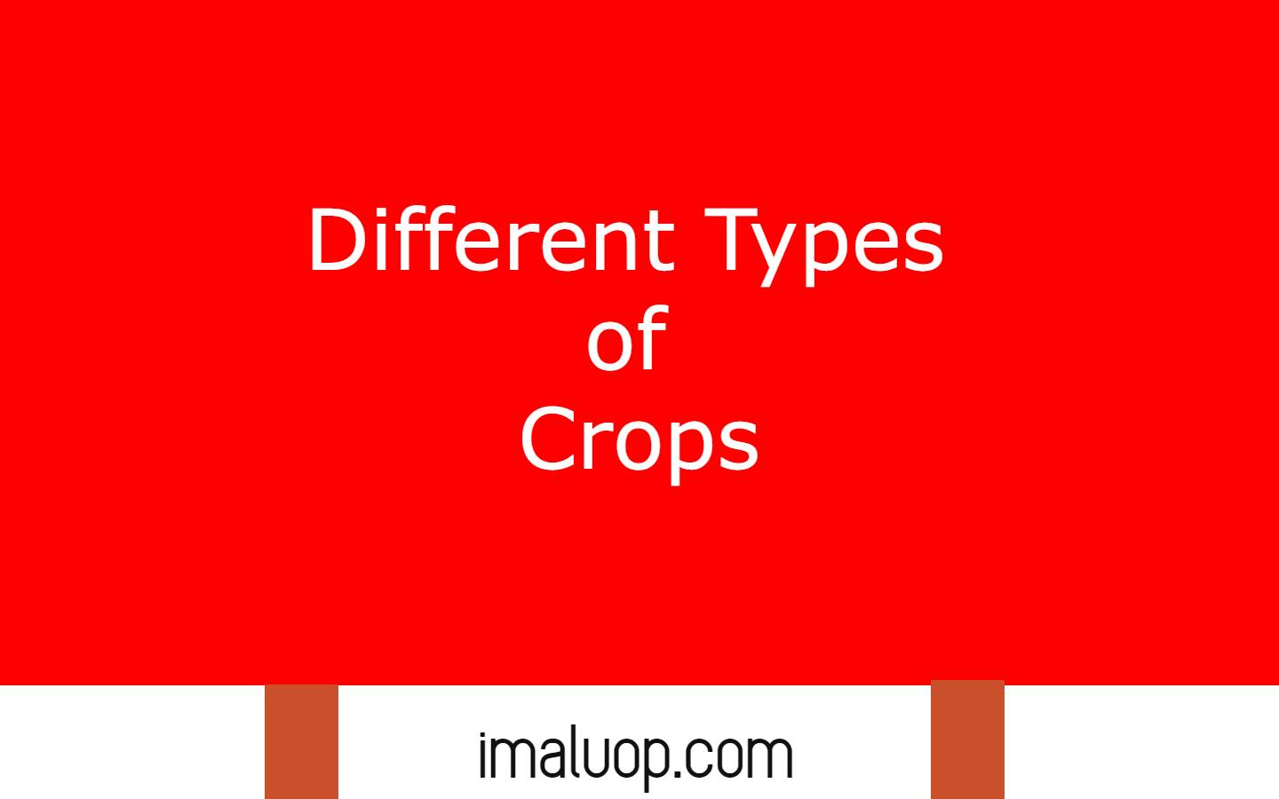 Different Types of Crops