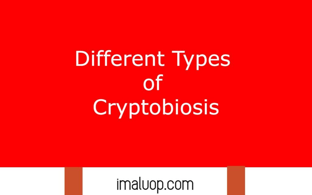 Different Types of Cryptobiosis