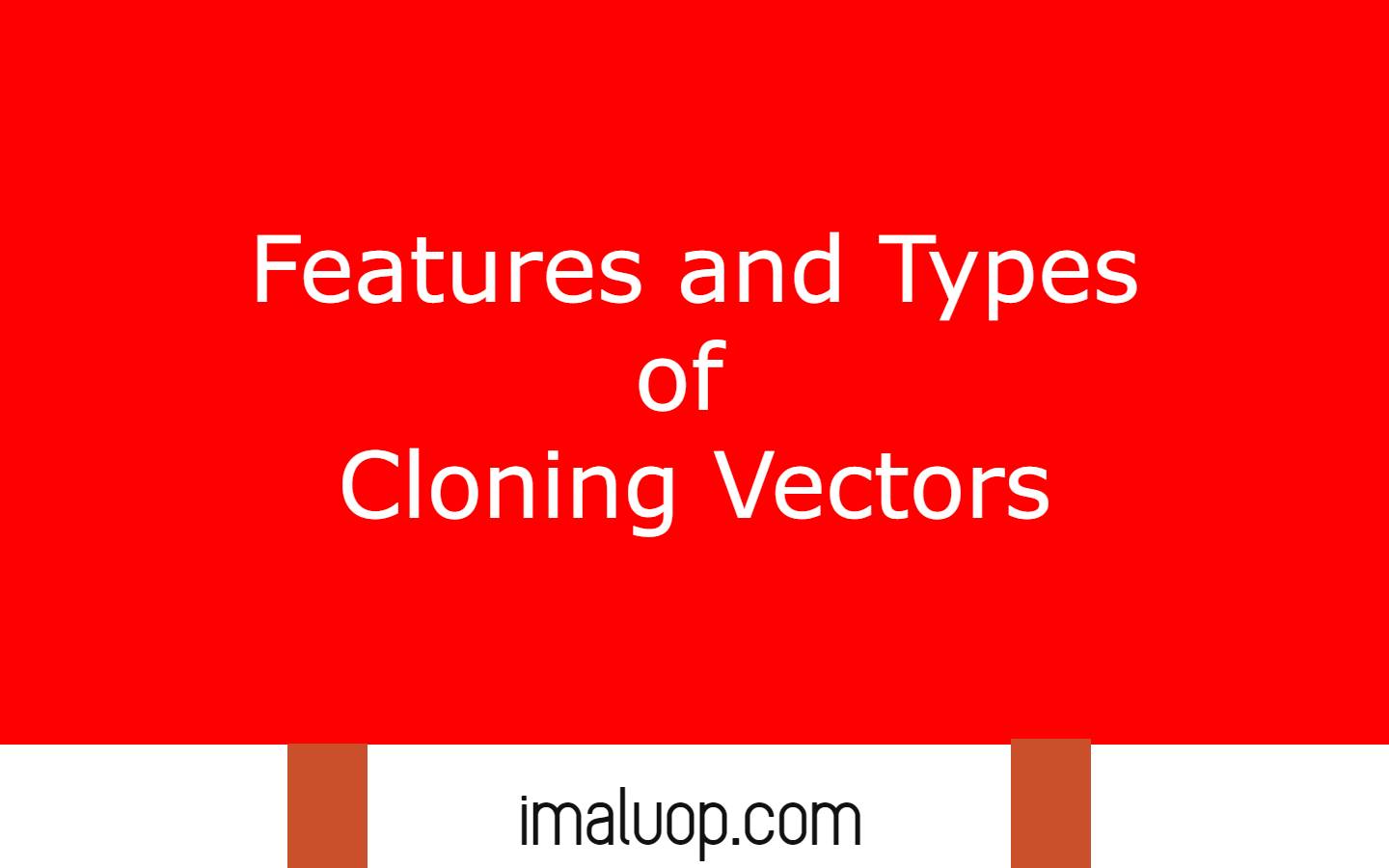 Features and Types of Cloning Vectors