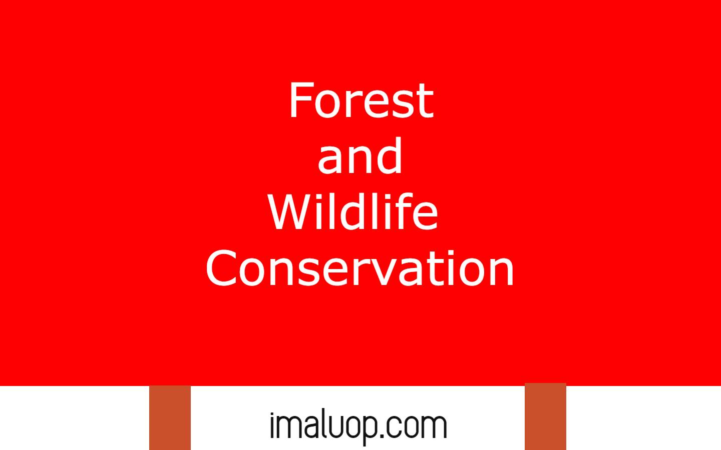 forest-and-wildlife-conservation-imaluop-imaluop