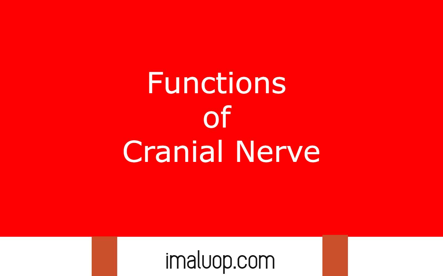 Functions of Cranial Nerve