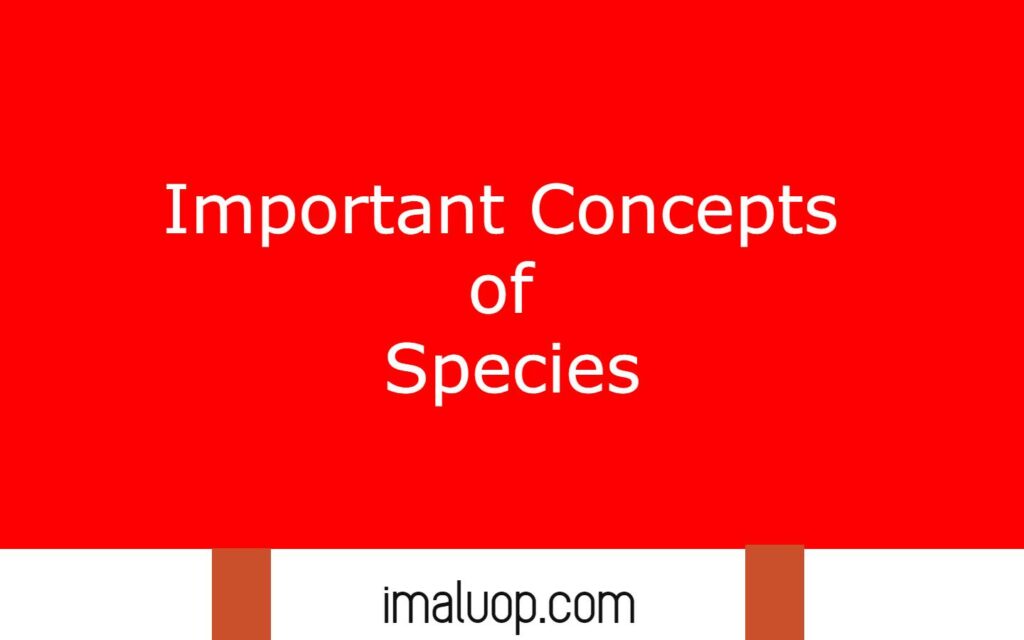 Important Concepts of Species