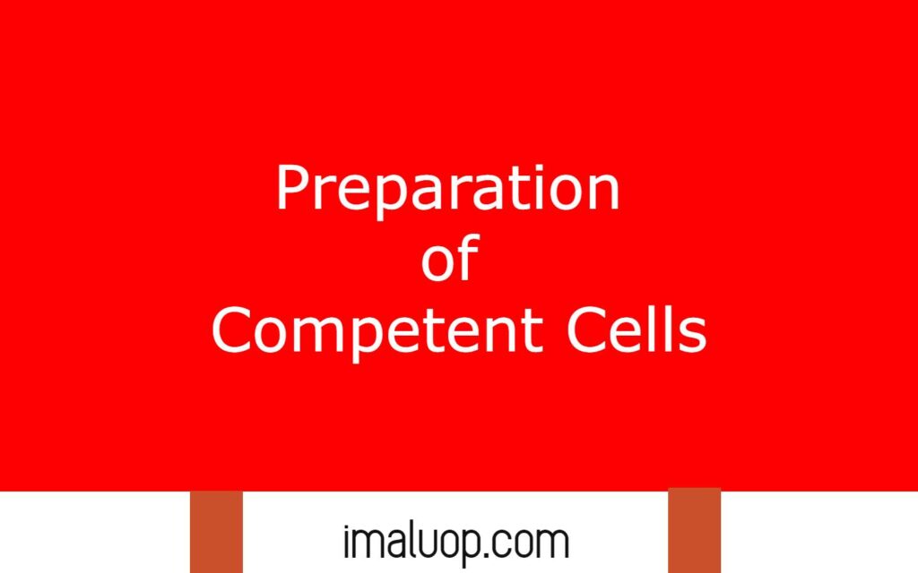 Preparation of Competent Cells