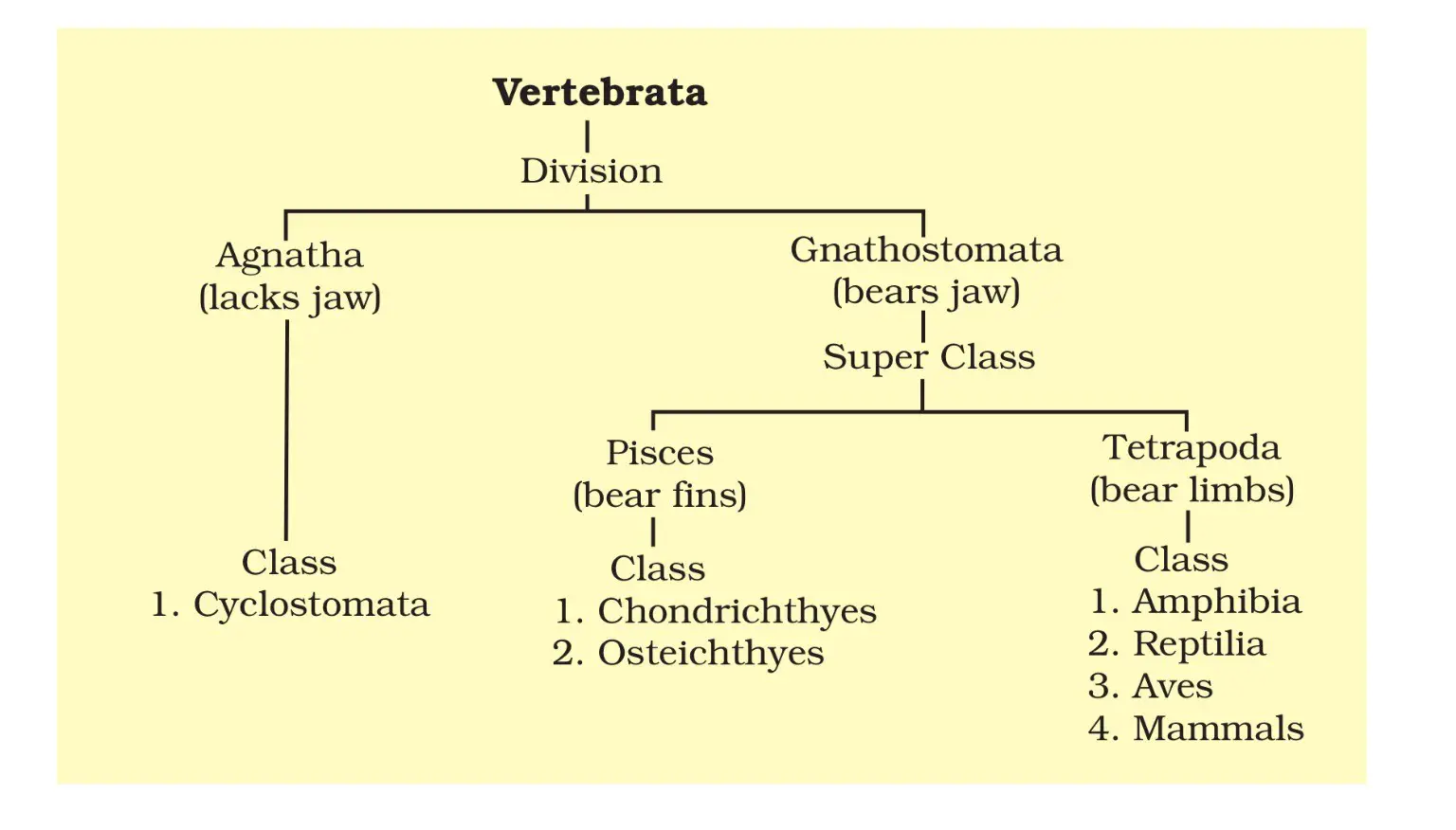 Classification in Subphylum Vertebrata